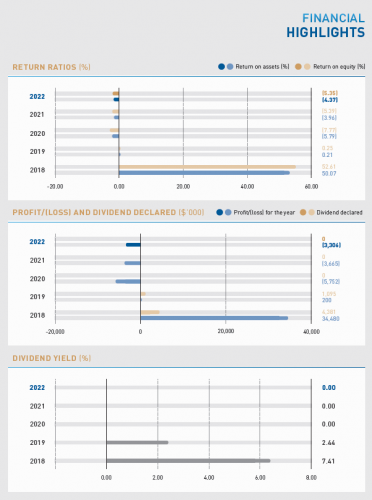 Financial Highlights – Datapulse Technology Limited